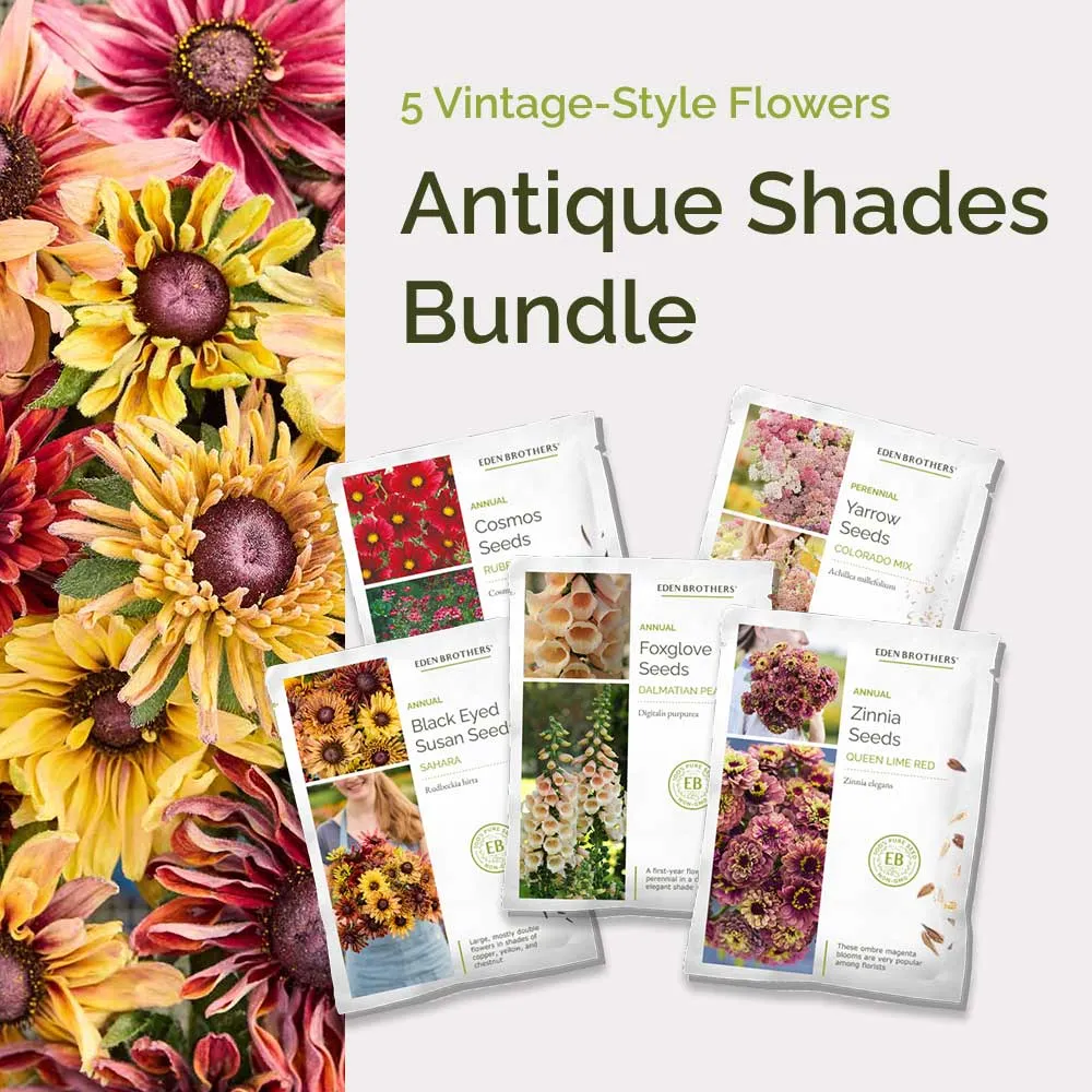 VEGSOW Antique Shades Cut Flower Seed Bundle