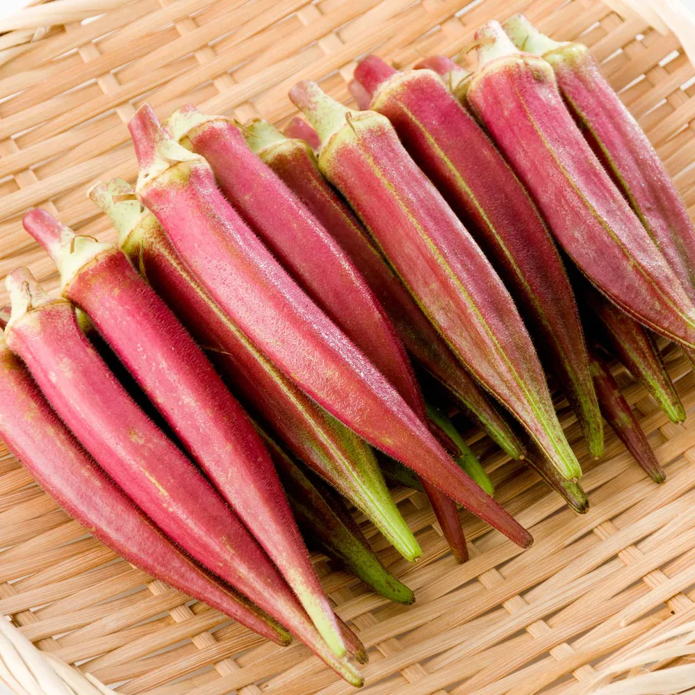 VEGSOW Jing Orange Okra Seeds - Heirloom Vegetable Planting Seeds