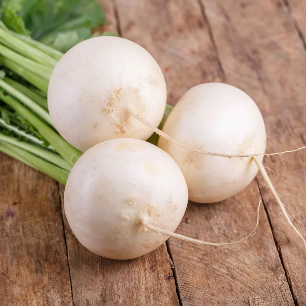 VEGSOW Shogoin Turnip Seeds - Heirloom Vegetable Seeds for Home Gardening