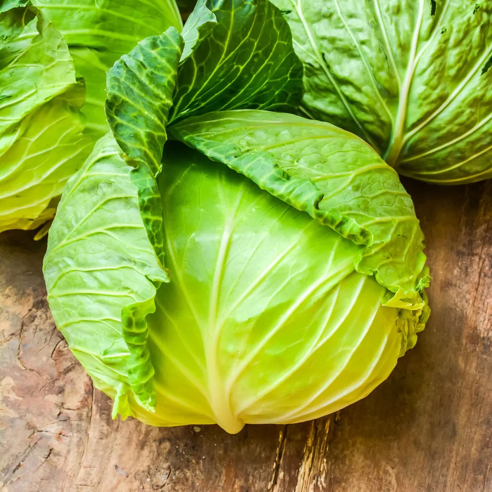 VEGSOW Copenhagen Market Cabbage Seeds - Heirloom Vegetable Seeds