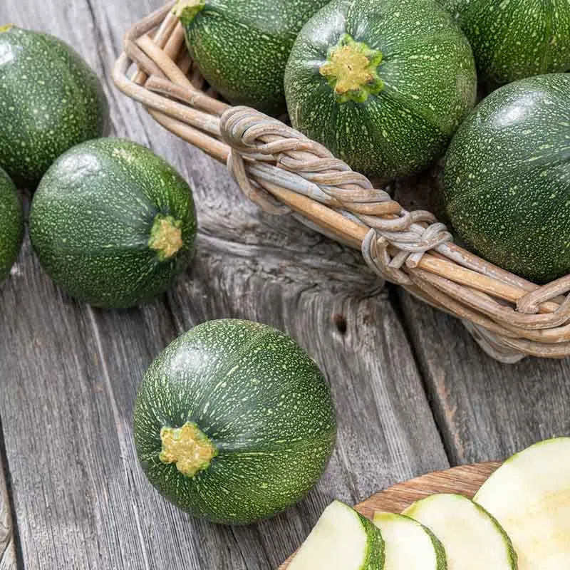 VEGSOW Round Zucchini Seeds - Summer Squash Heirloom Vegetable Seeds