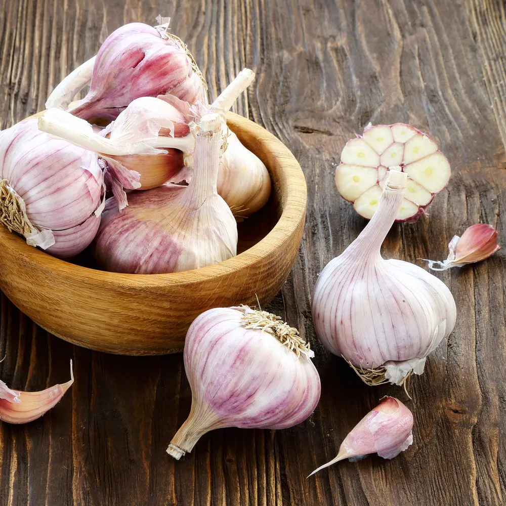 VEGSOW Dugansku Hardneck Garlic Bulbs for Planting