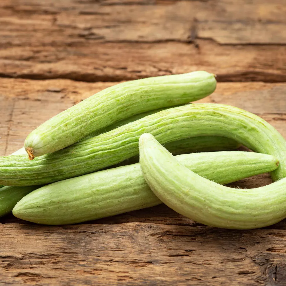 VEGSOW Armenian Pale Green Cucumber Seeds - Heirloom Vegetable Seeds for Home Gardening