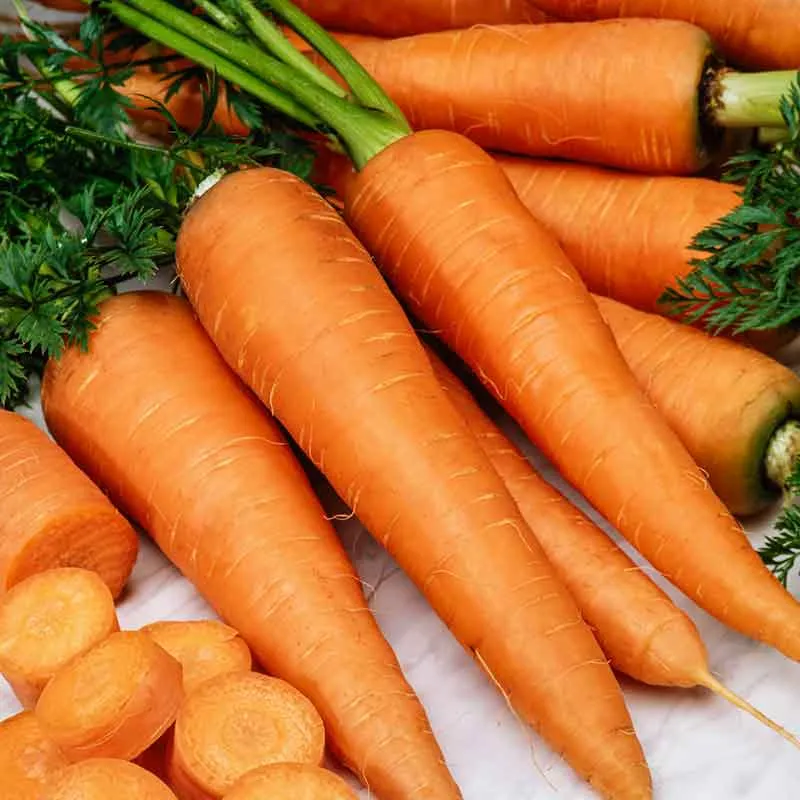 VEGSOW Organic Carrot Seeds - Danvers 126 Heirloom Variety