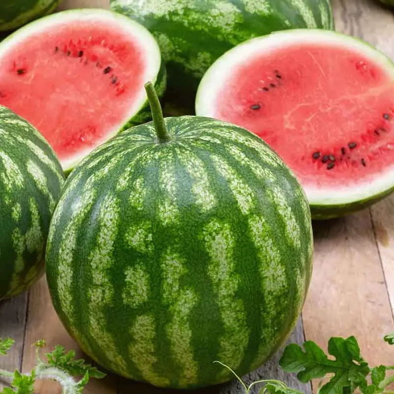 VEGSOW Cal Sweet Watermelon Seeds - Heirloom Variety for Home Gardens