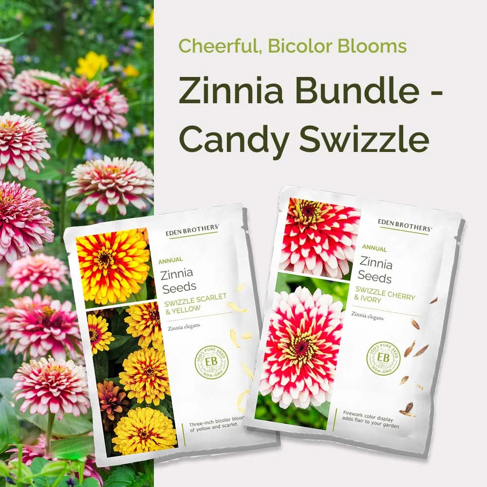 VEGSOW Zinnia Bundle - Candy Swizzle Flower Seeds