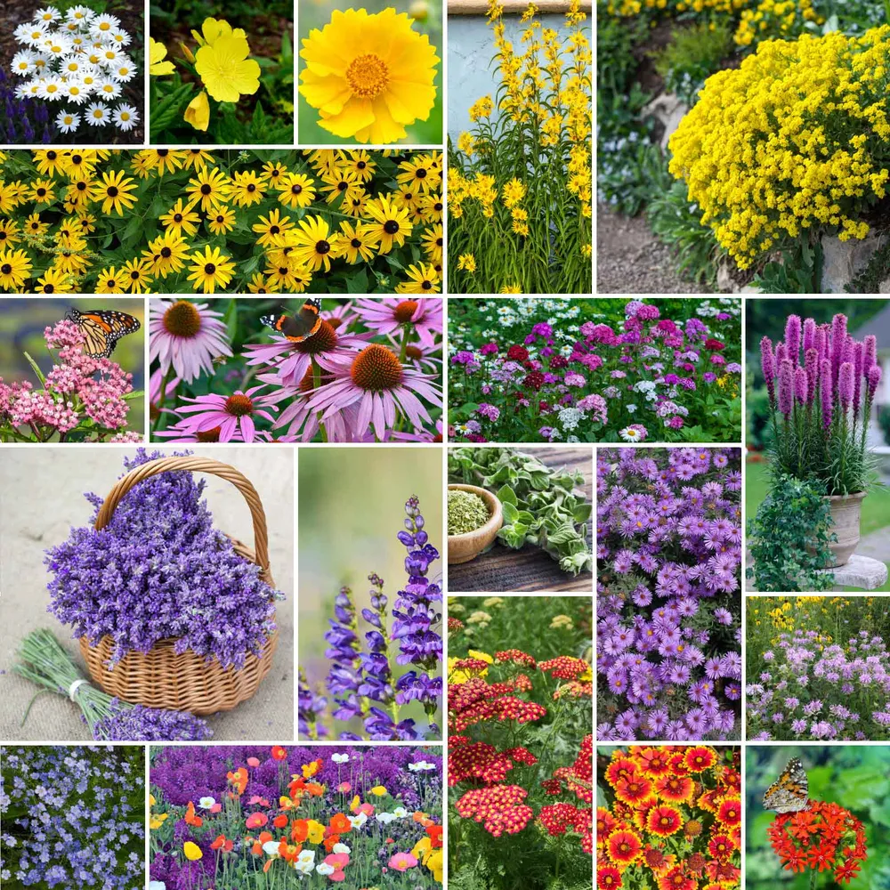 VEGSOW Perennial Pollinator Wildflower Mix - Native Flower Seed Blend