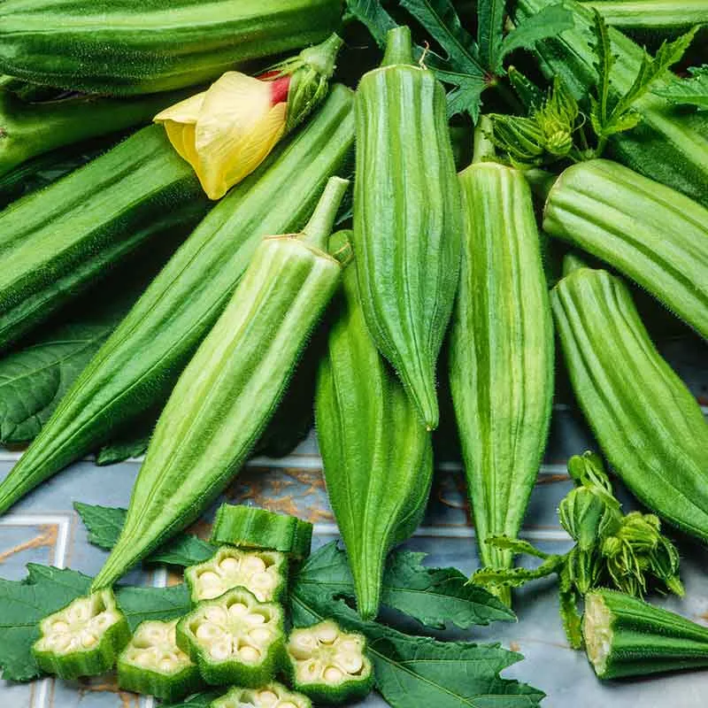 VEGSOW Clemson Spineless Okra Seeds - Organic Heirloom Variety