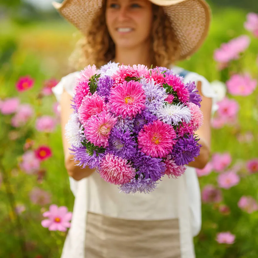 VEGSOW China Aster Seeds - Giants of California