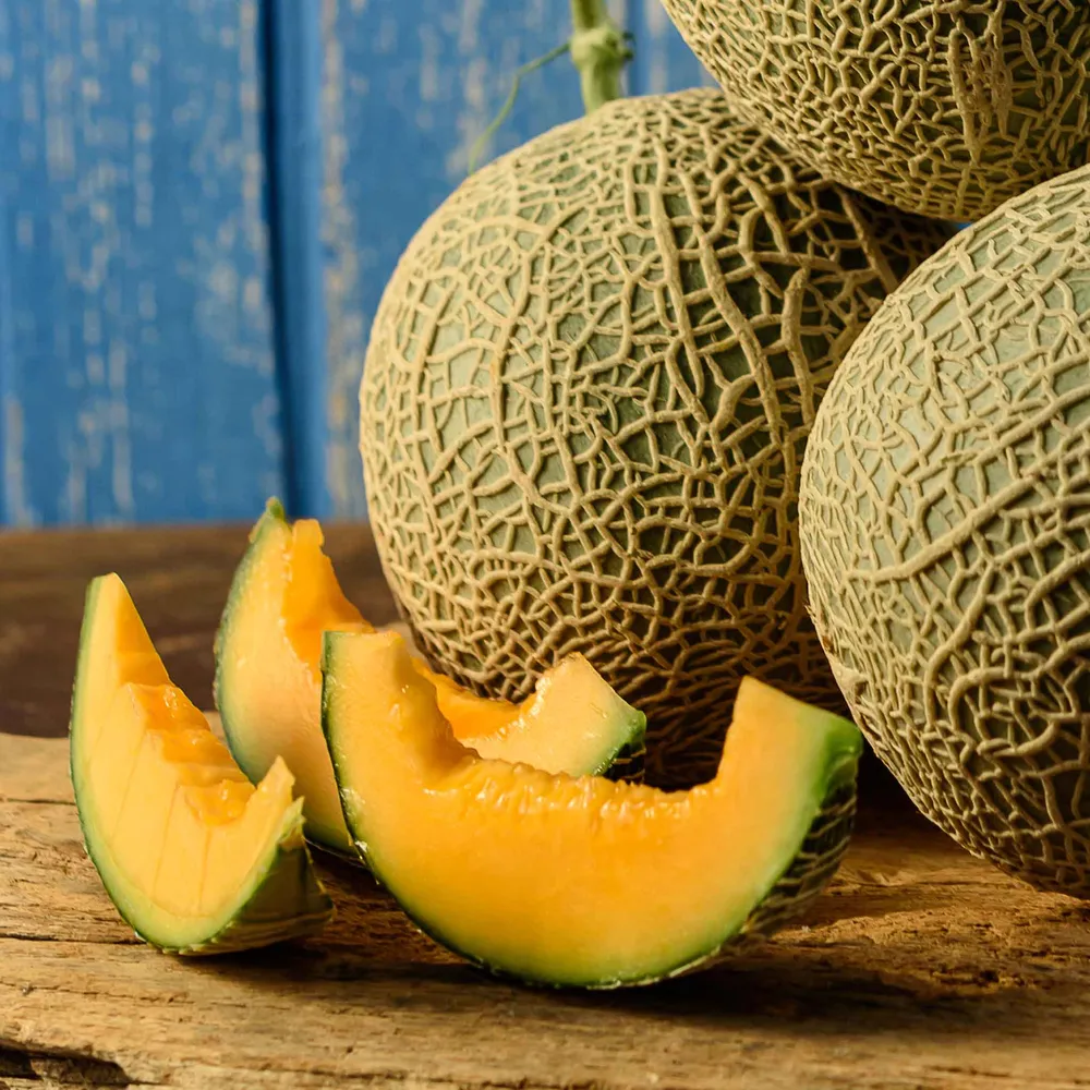 VEGSOW Melon Seeds - High Germination Rate Heirloom Variety