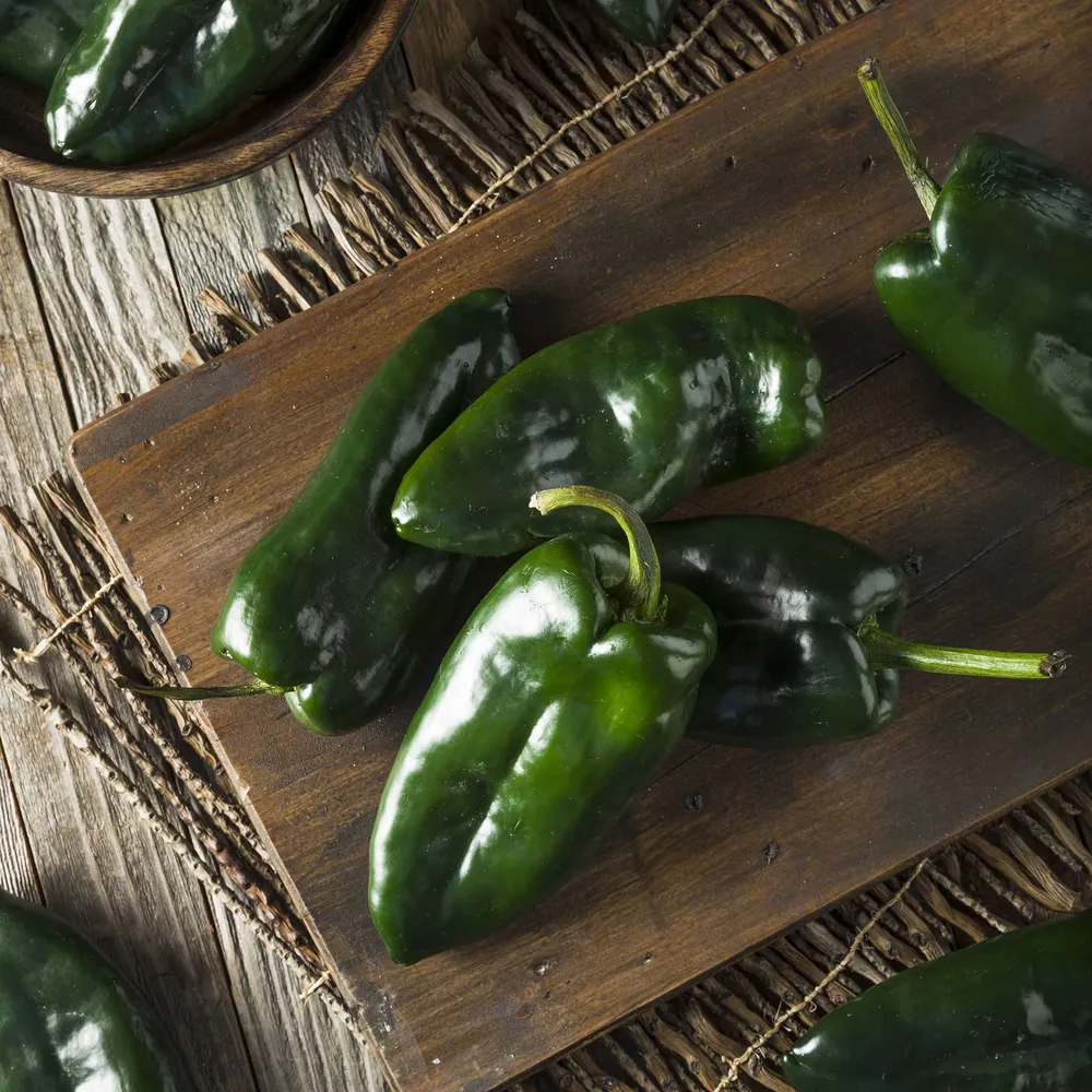 VEGSOW Organic Ancho Poblano Pepper Seeds - Heirloom Non-GMO Vegetable Seeds