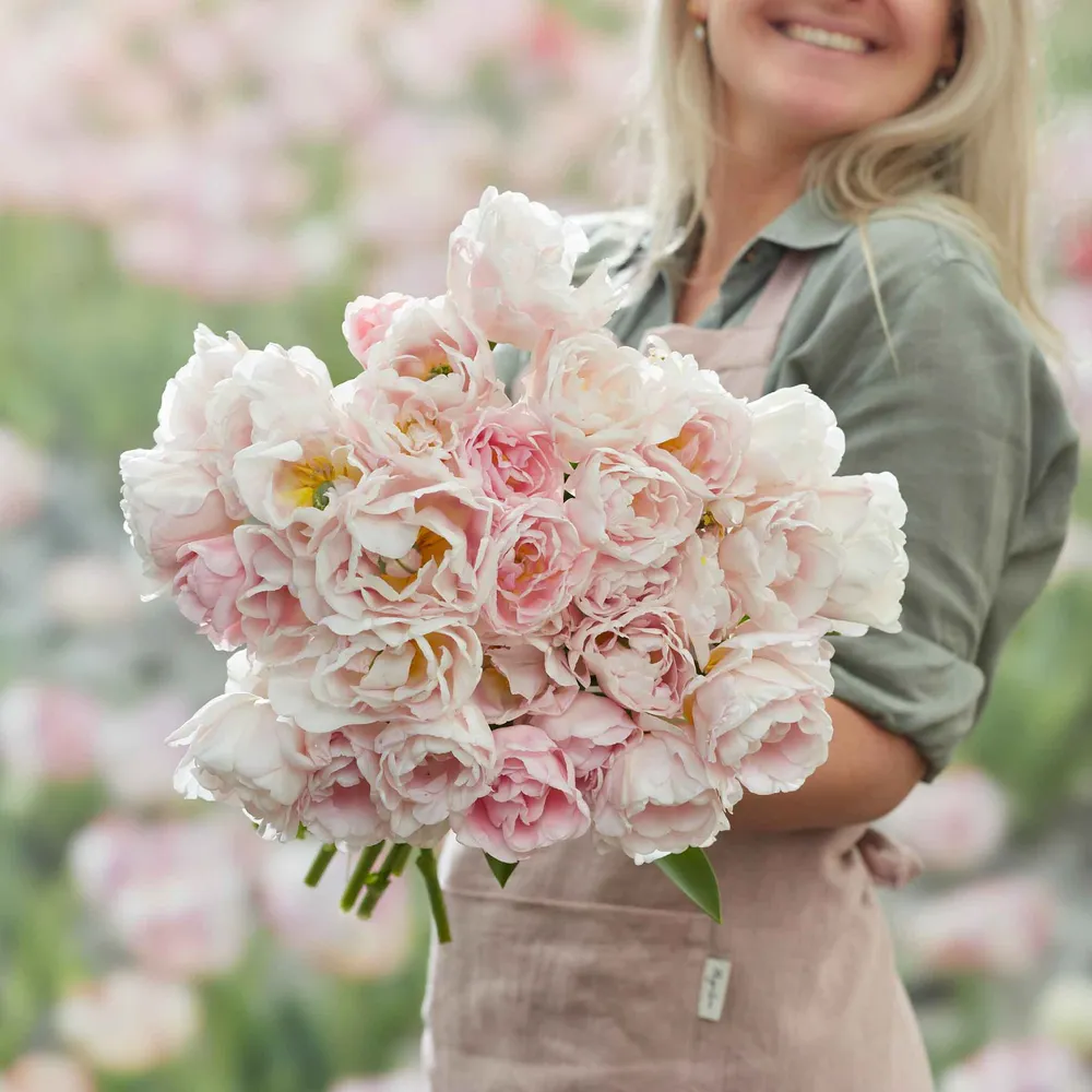 VEGSOW Tulip Bulbs - Mariage