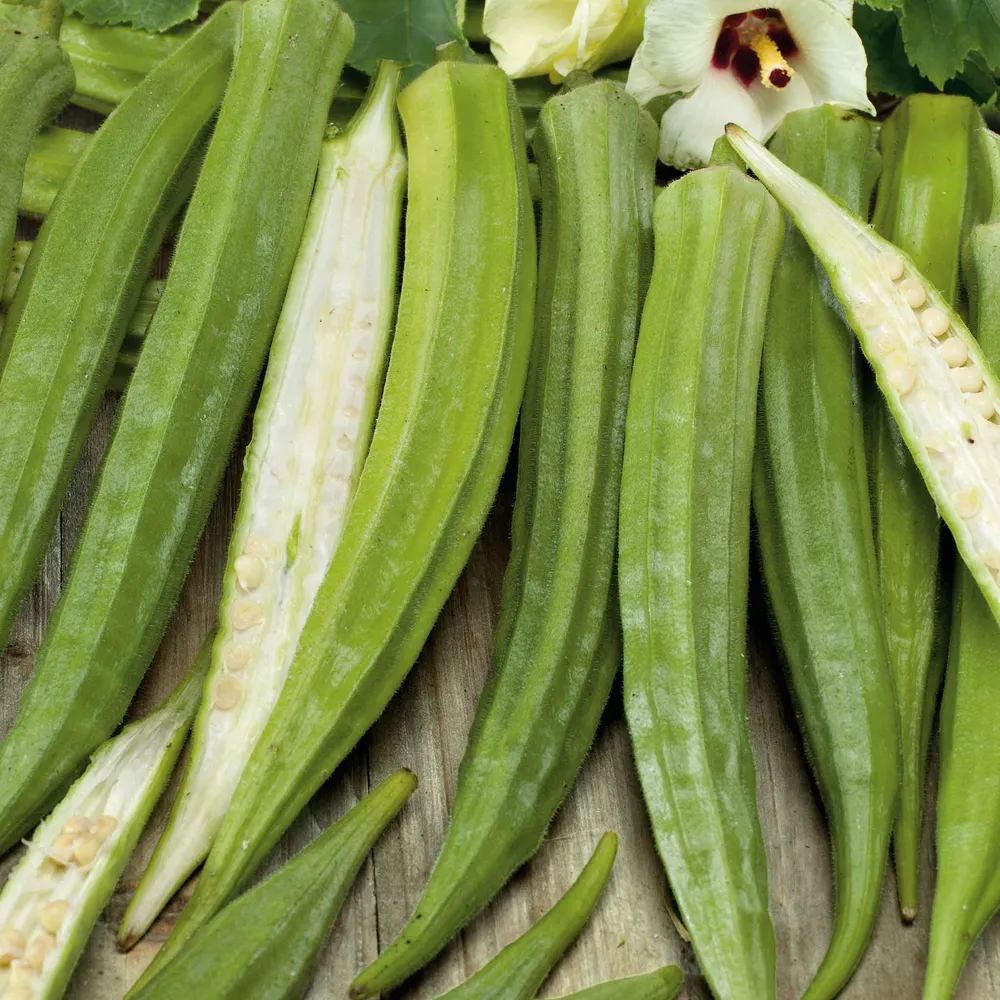 VEGSOW Cow Horn Okra Seeds - Heirloom Vegetable Planting Seeds