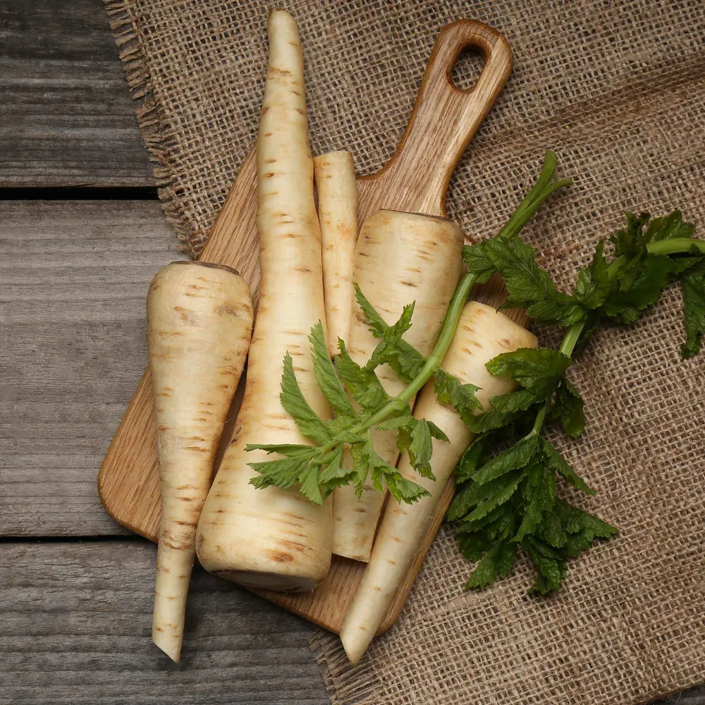 VEGSOW Hollow Crown Parsnip Seeds - Heirloom Vegetable Seeds