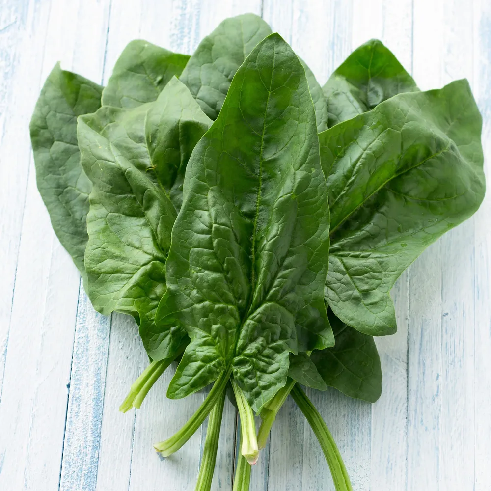 VEGSOW Viroflay Spinach Seeds - Heirloom Vegetable Seeds for Home Gardening
