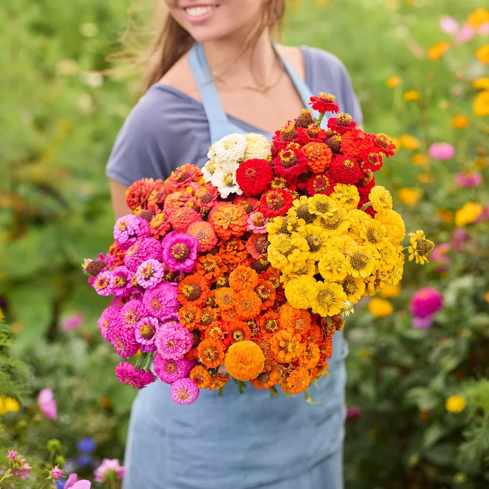 VEGSOW Zinnia Bundle - Lilliput Series Flower Seeds