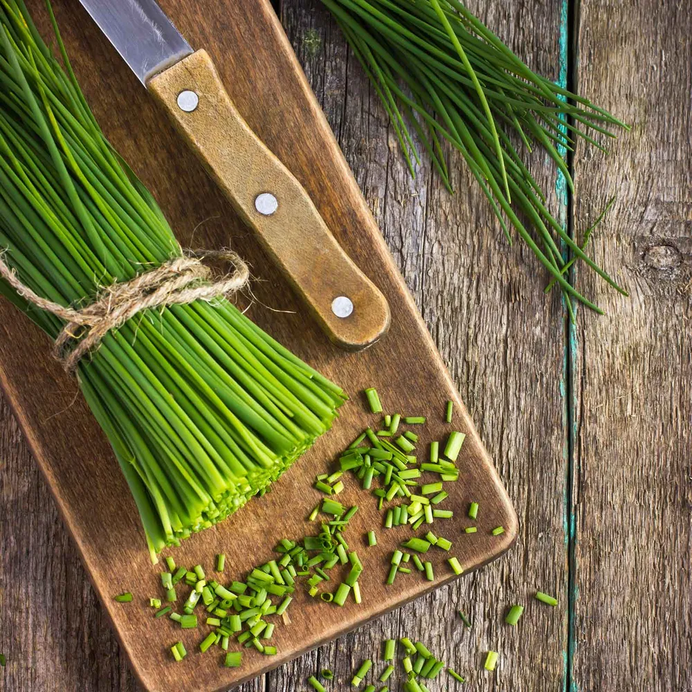 VEGSOW Common Chives Seeds - Heirloom Herb Seeds for Indoor and Outdoor Planting