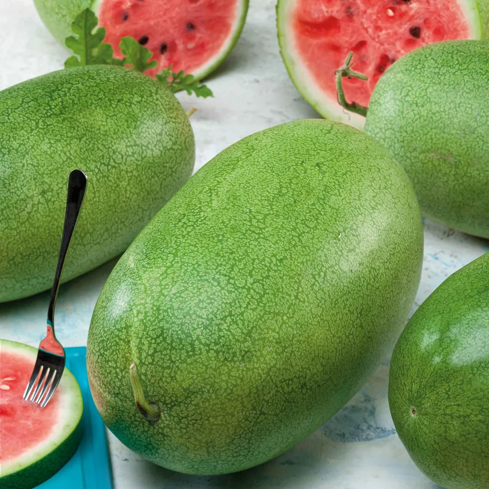 VEGSOW Charleston Grey Watermelon Seeds - Heirloom Vegetable Seeds