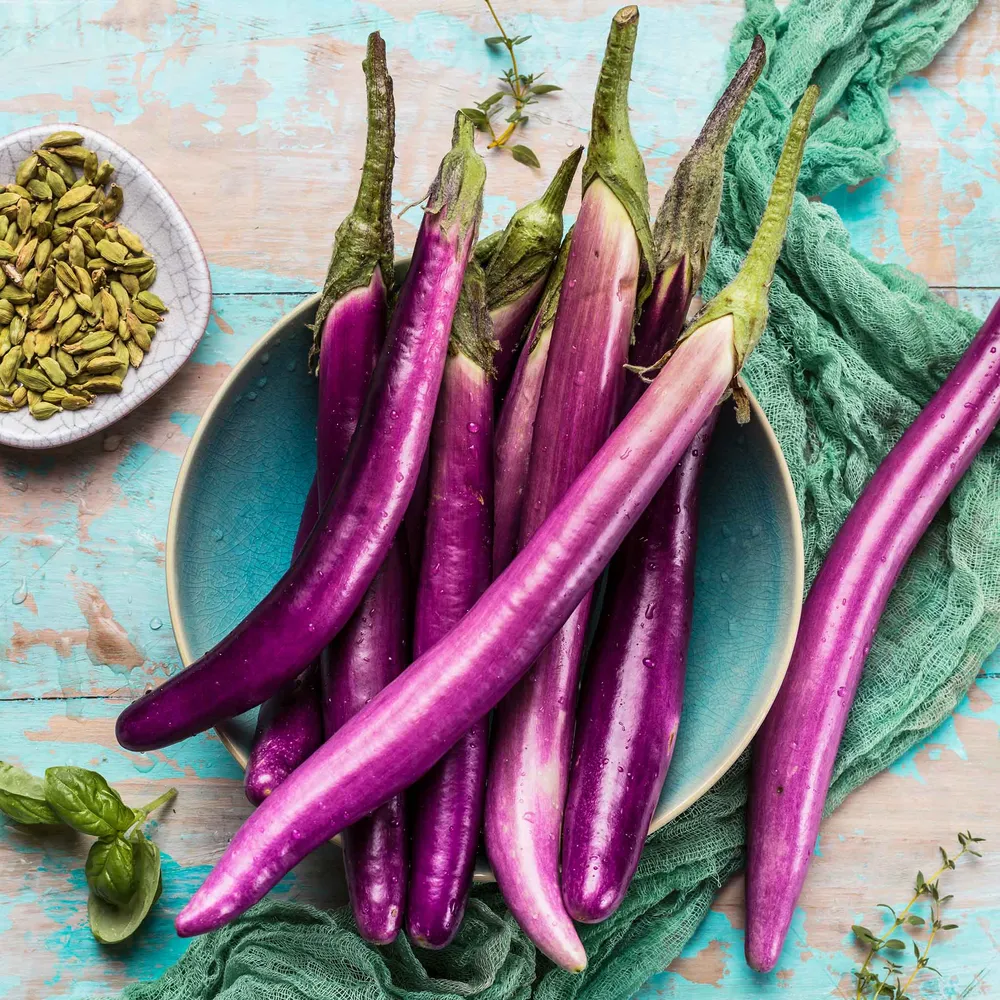 VEGSOW Long Asian Eggplant Seeds - Heirloom Vegetable Seeds for Home Gardening