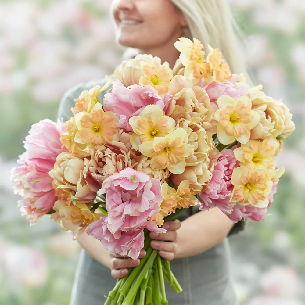 VEGSOW Tulip & Daffodil Promenade Mix - Spring Flowering Garden Bulbs