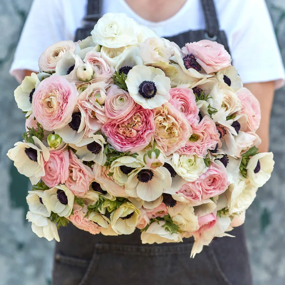 Anemone & Ranunculus - Paris In Spring Collection