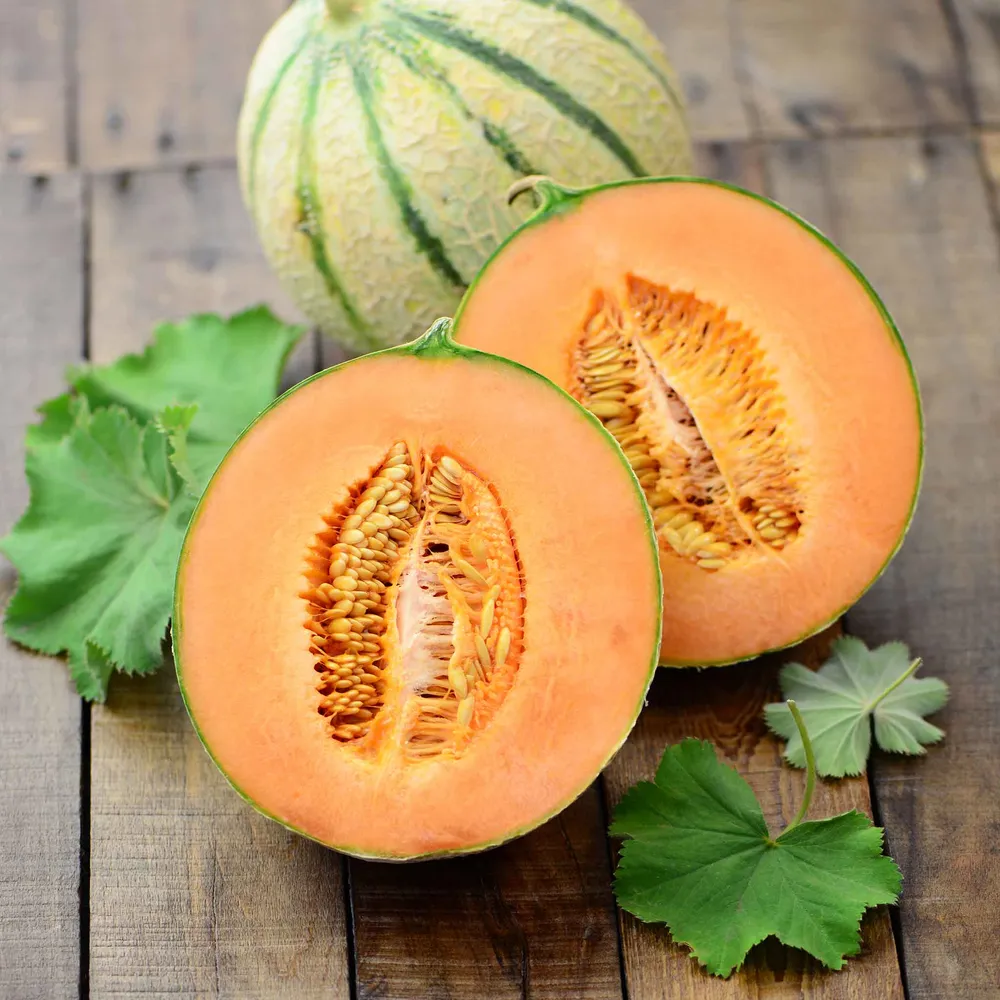 VEGSOW Honeydew Orange Melon Seeds for Microgreens and Garden Cultivation