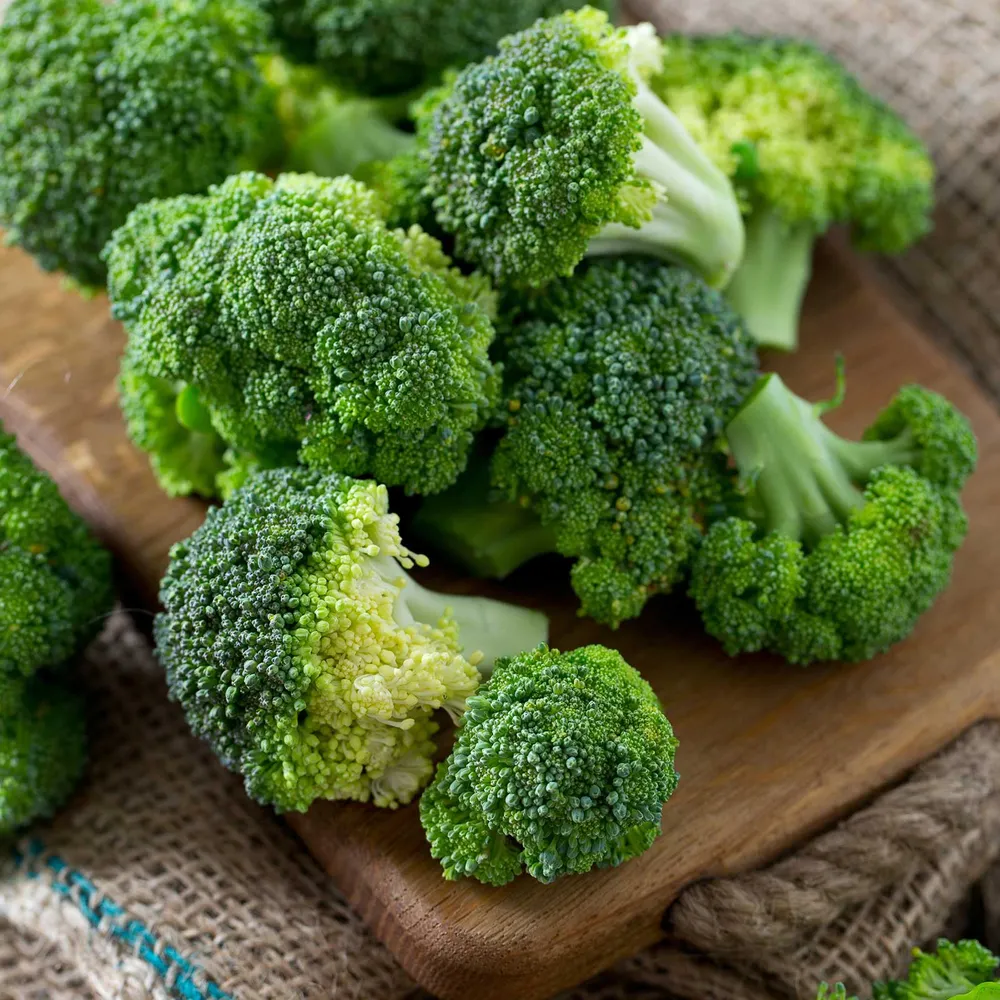 VEGSOW Appalachian F1 Broccoli Seeds - High-Yield Hybrid Vegetable Seeds