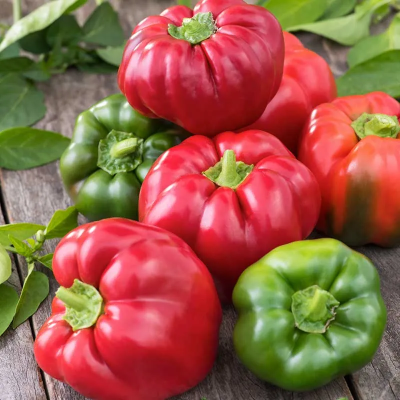 VEGSOW California Wonder Sweet Pepper Seeds - Heirloom Vegetable Seeds