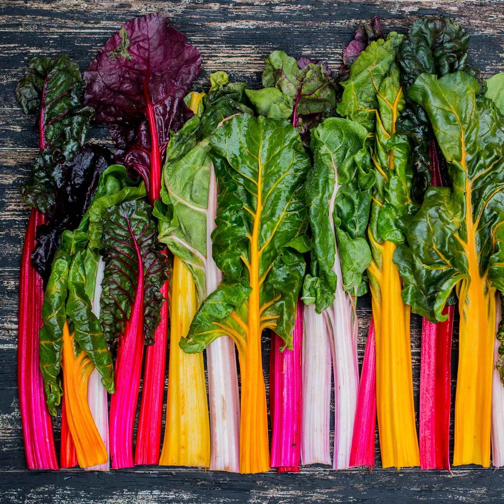 VEGSOW Rainbow Swiss Chard Seeds - Heirloom Vegetable Seeds for Home Gardening