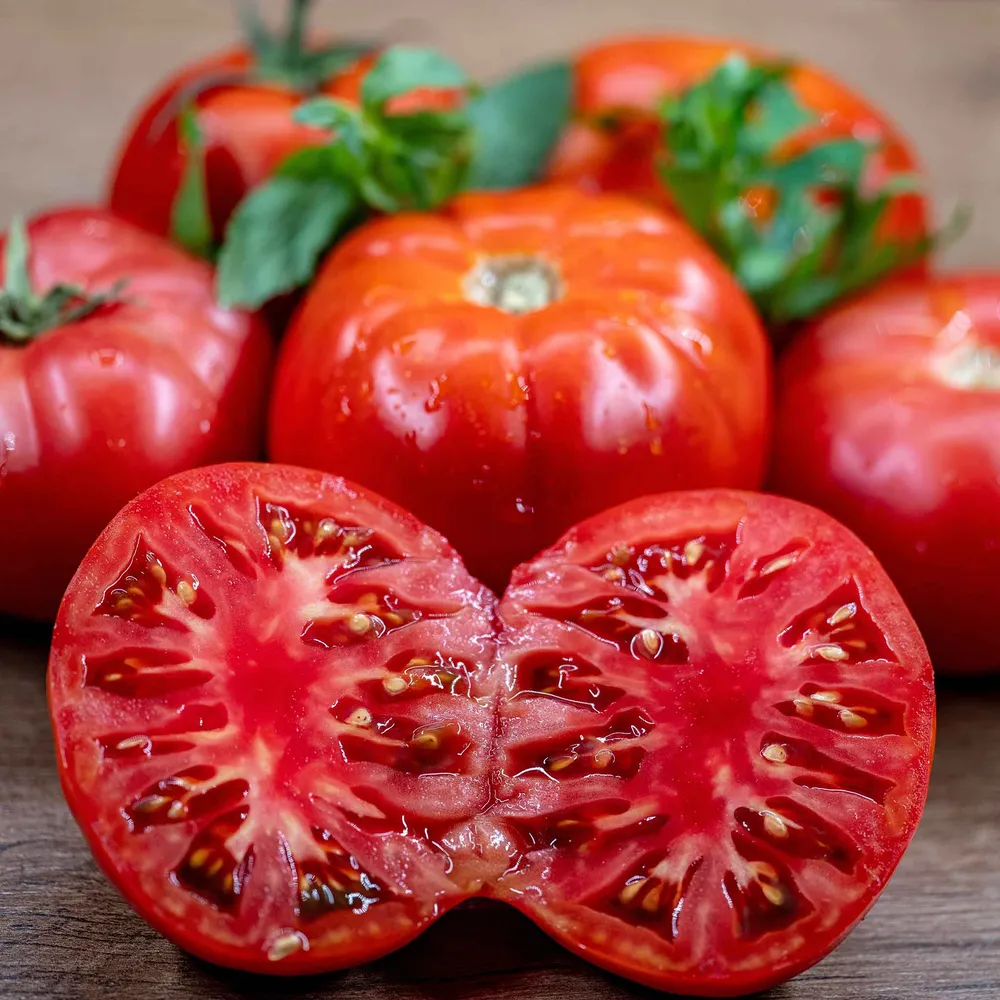 VEGSOW Cuostralee Tomato Seeds - Heirloom Beefsteak Variety