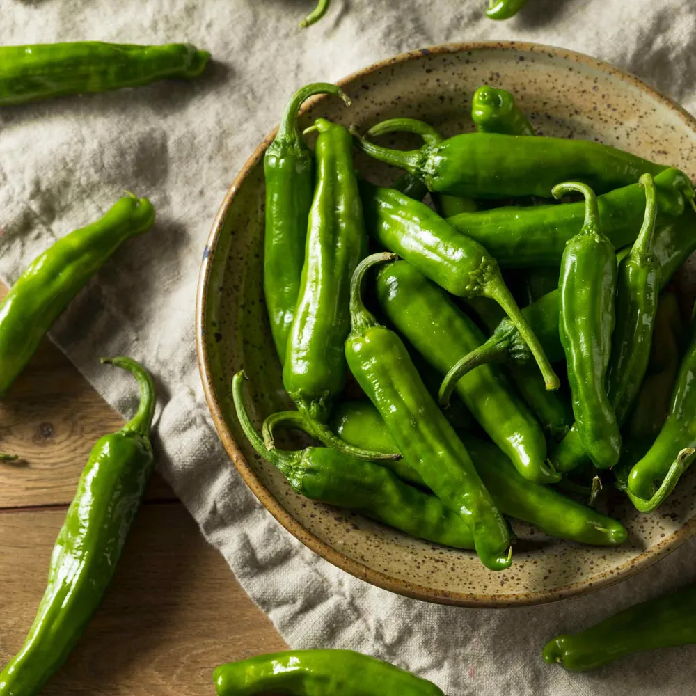 VEGSOW Shishito Pepper Seeds - Non-GMO Heirloom Vegetable Seeds