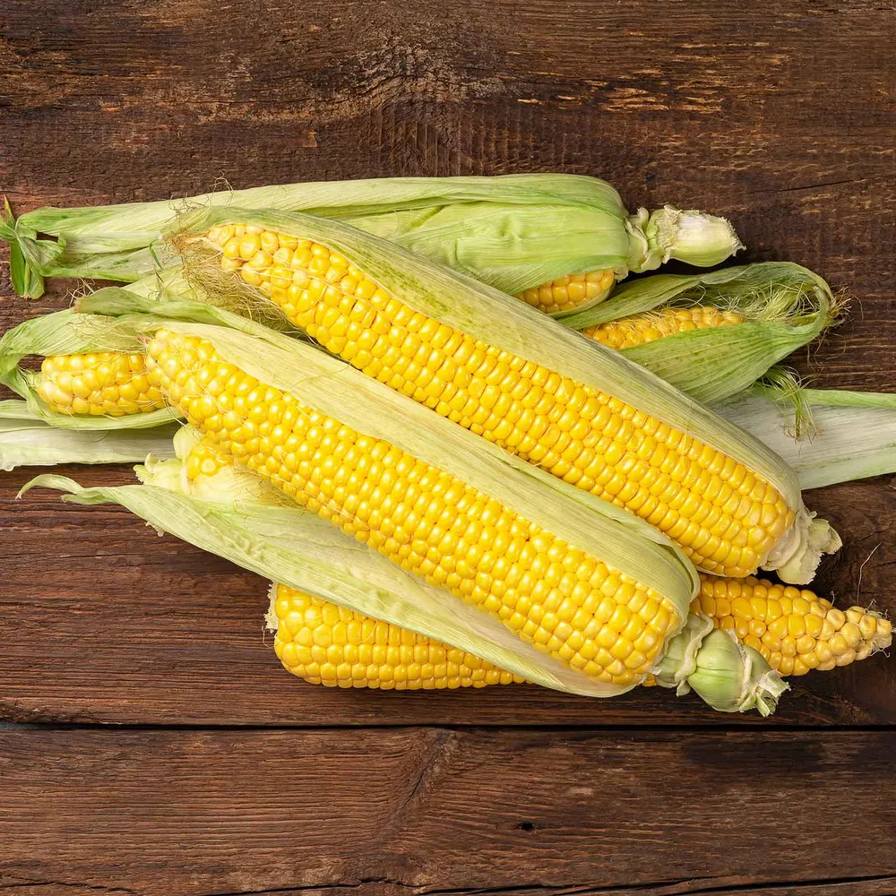 VEGSOW Jubilee Sweet Corn Seeds - High Germination Garden Vegetable Seeds