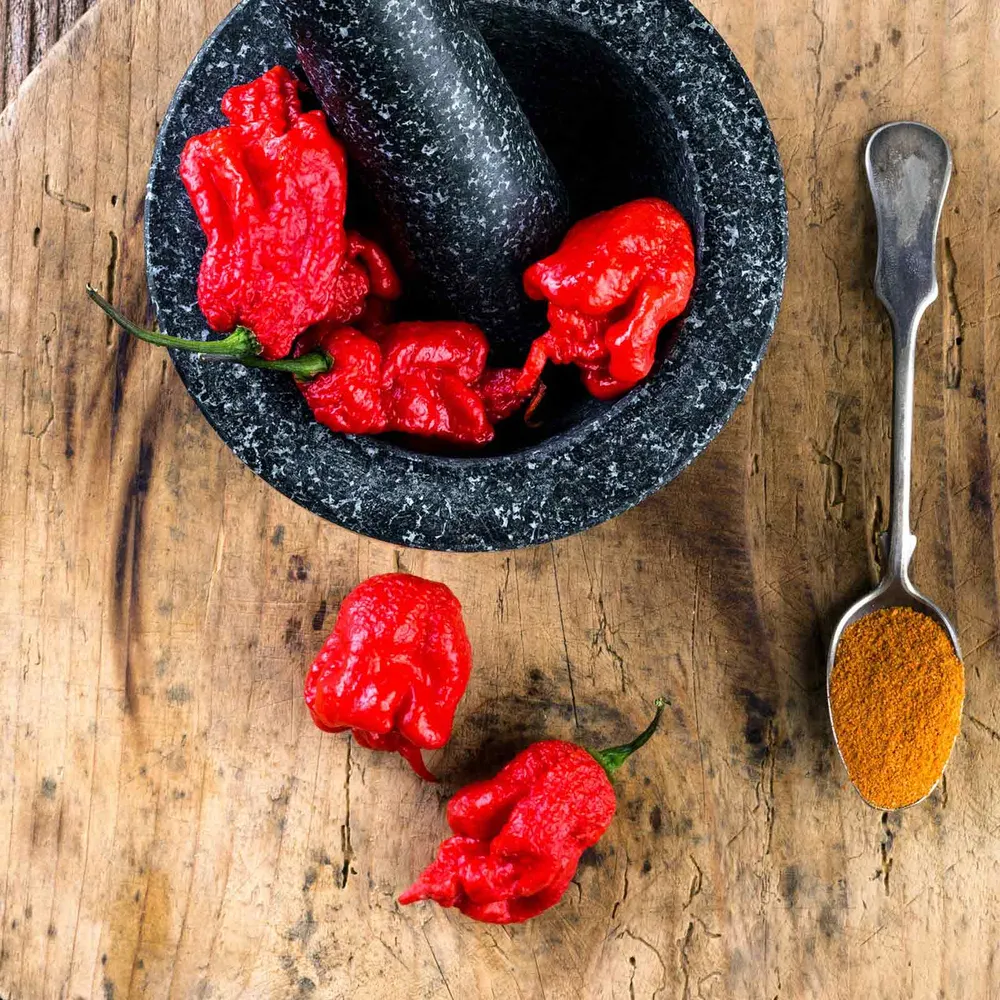 VEGSOW Carolina Reaper Pepper Seeds - Heirloom Hot Chili Seeds for Home Gardening