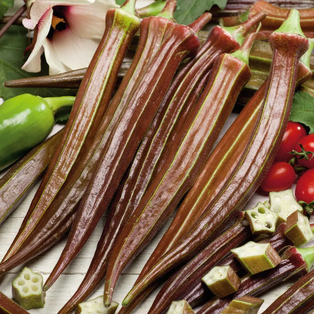 VEGSOW Red Burgundy Okra Seeds - Heirloom Vegetable Seeds for Home Gardening