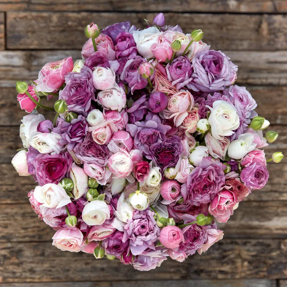 VEGSOW Ranunculus Bulbs - Secret Garden Mix