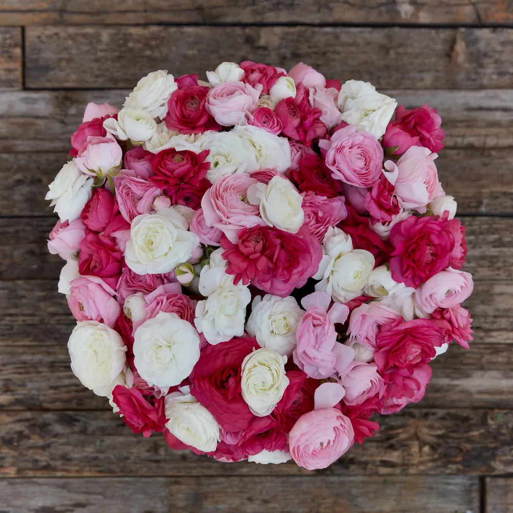 VEGSOW Ranunculus Bulbs - Homecoming Mix
