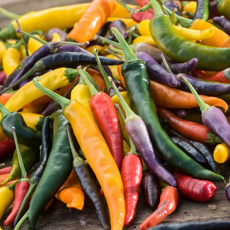 VEGSOW Cayenne Pepper Seeds - Heirloom Hot Chili Pepper Blend