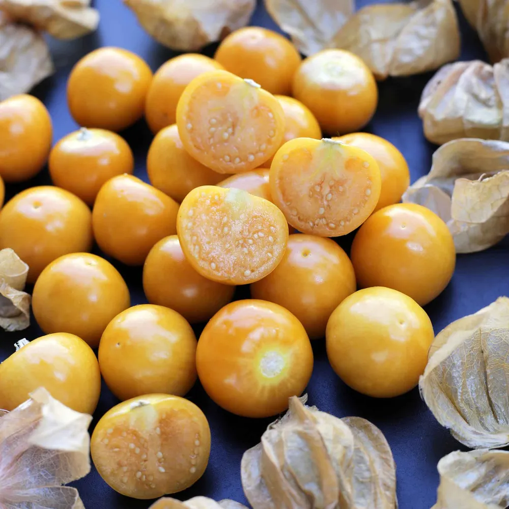 VEGSOW Pineapple Tomatillo Seeds - Heirloom Physalis ixocarpa for Home Gardens