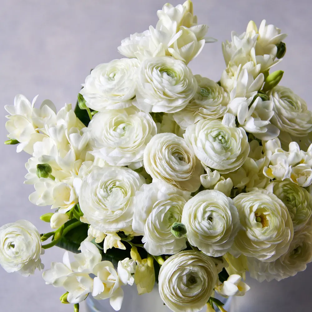 VEGSOW Ranunculus & Freesia Bulbs - White Mix
