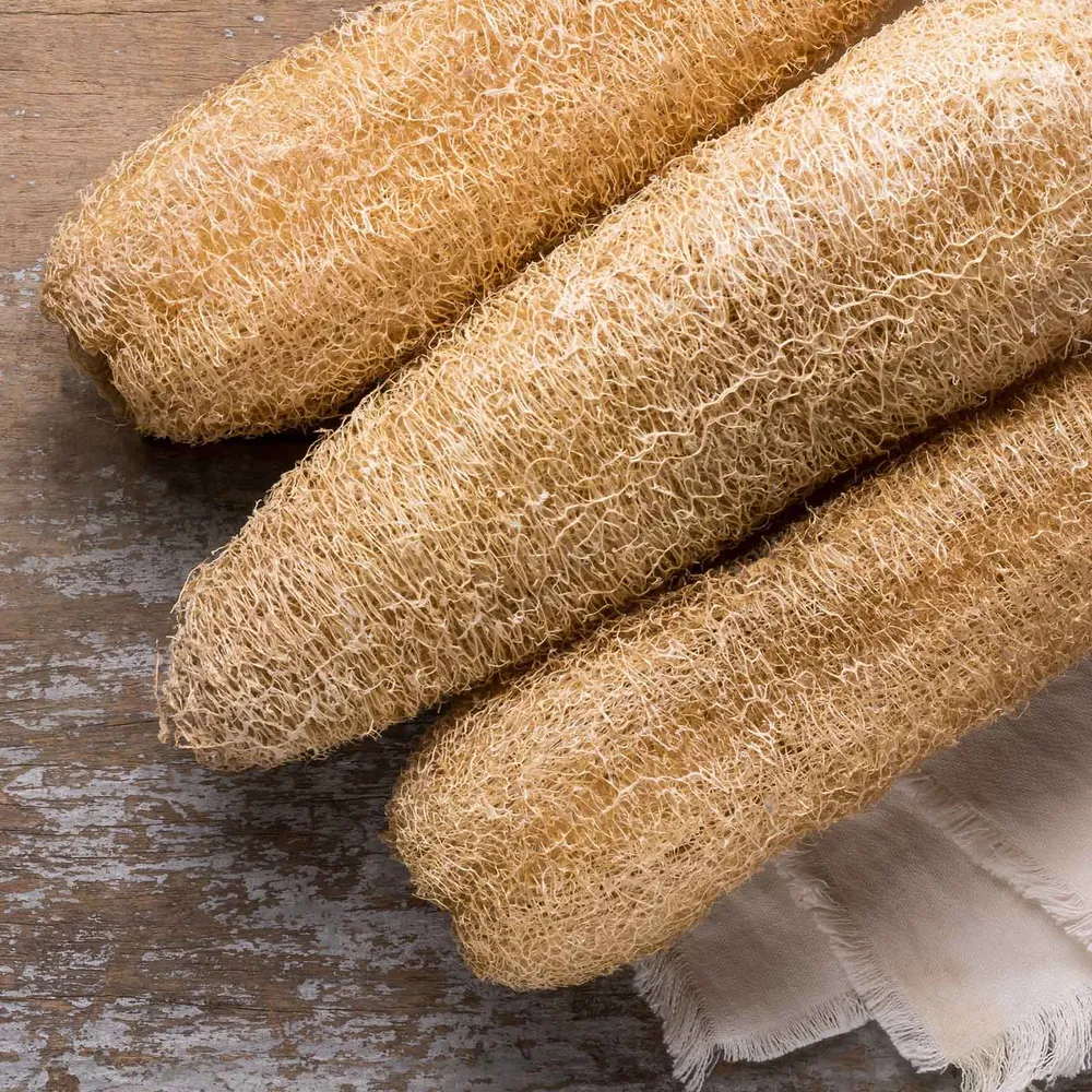 VEGSOW Luffa Gourd Seeds - Heirloom Vegetable Planting Seeds