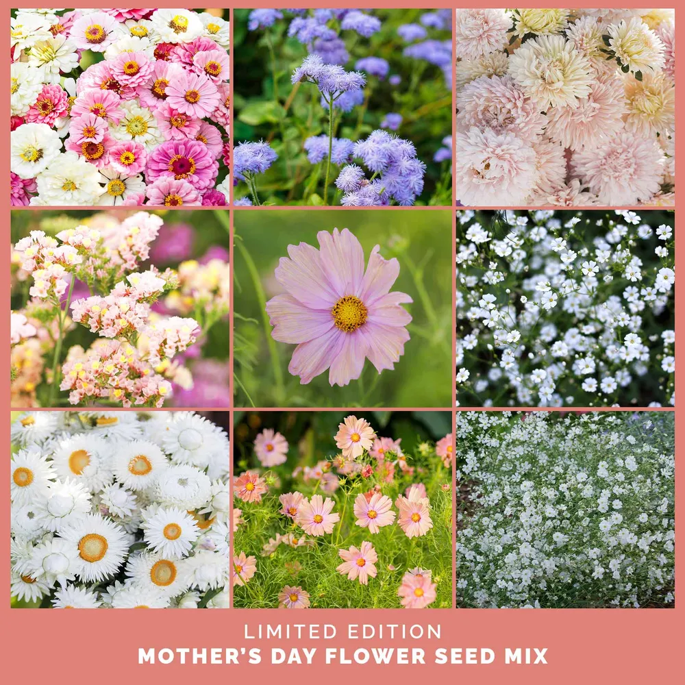 VEGSOW Mother’s Day Flower Seed Mix - Pollinator-Friendly Wildflower Assortment