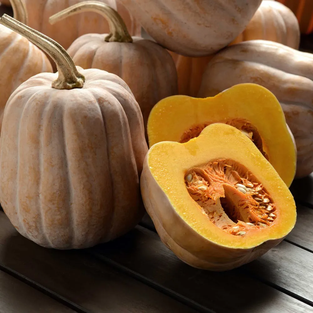VEGSOW Winter Squash Seeds - Autumn Frost