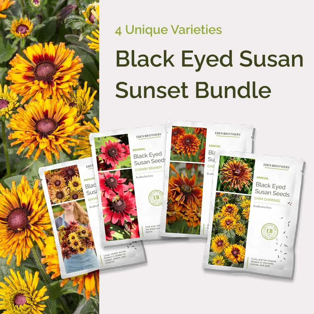 VEGSOW Black Eyed Susan - Sunset Bundle