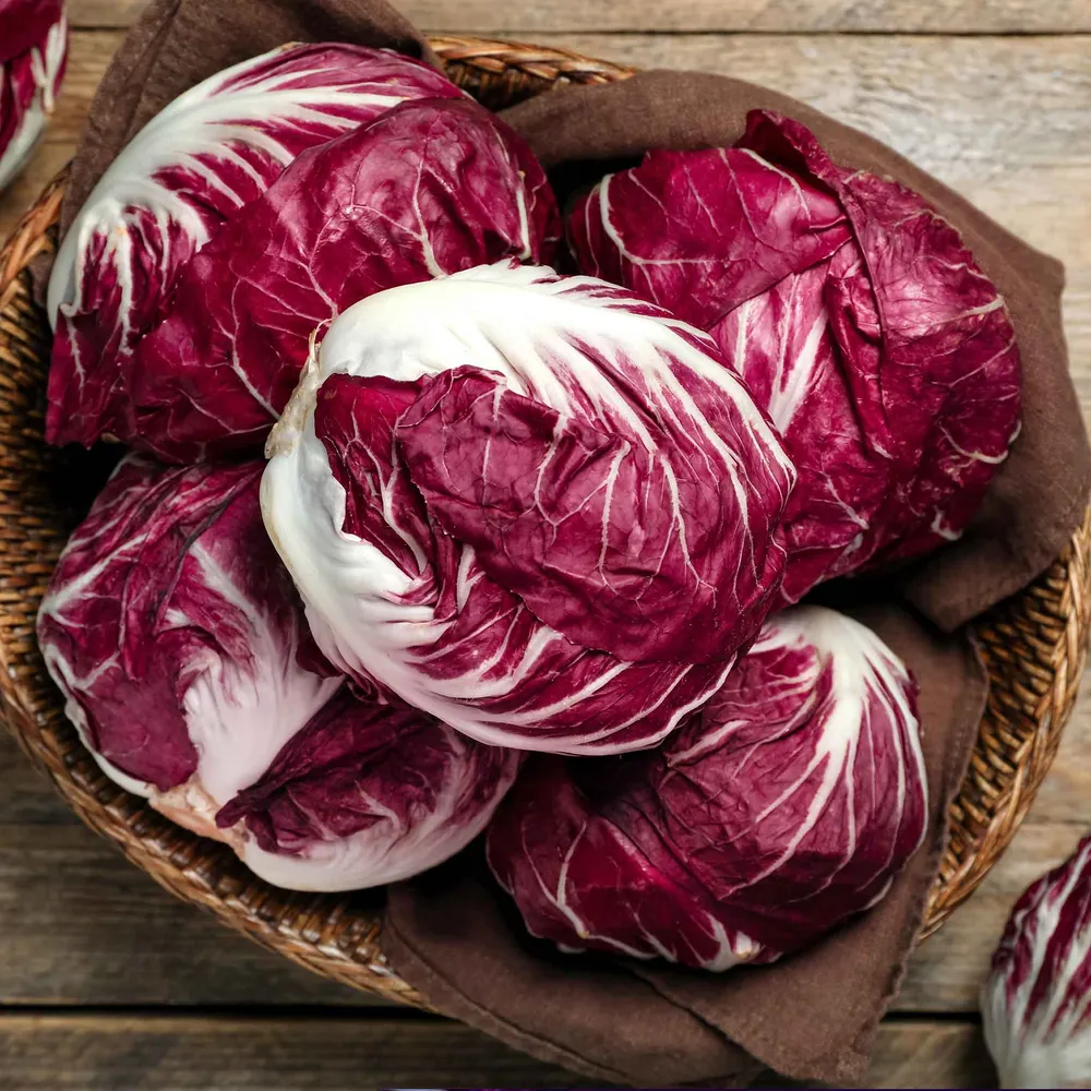 VEGSOW Rossa Di Verona Radicchio Seeds - Heirloom Endive Variety