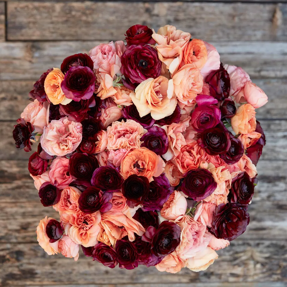 Ranunculus Bulbs - Princess Bride Mix