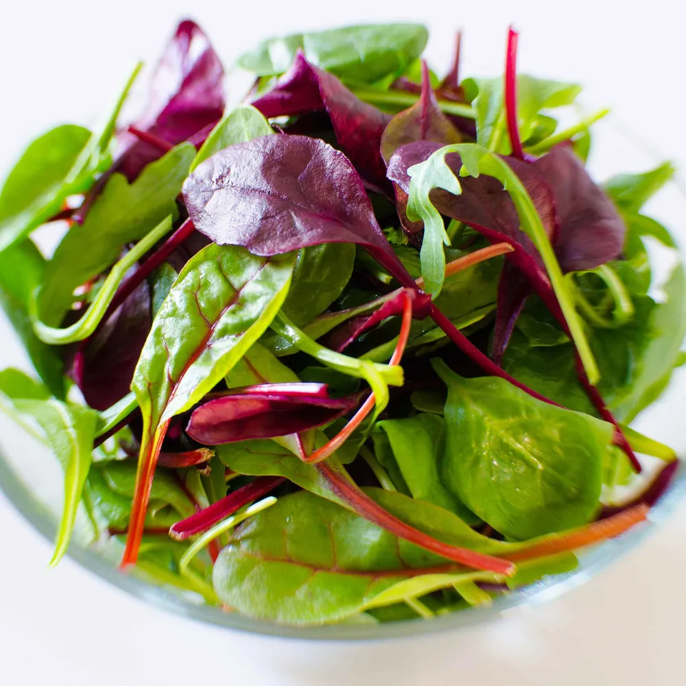 VEGSOW Microgreen Seeds Rainbow Blend - Non-GMO Vegetable Seeds for Indoor Growing