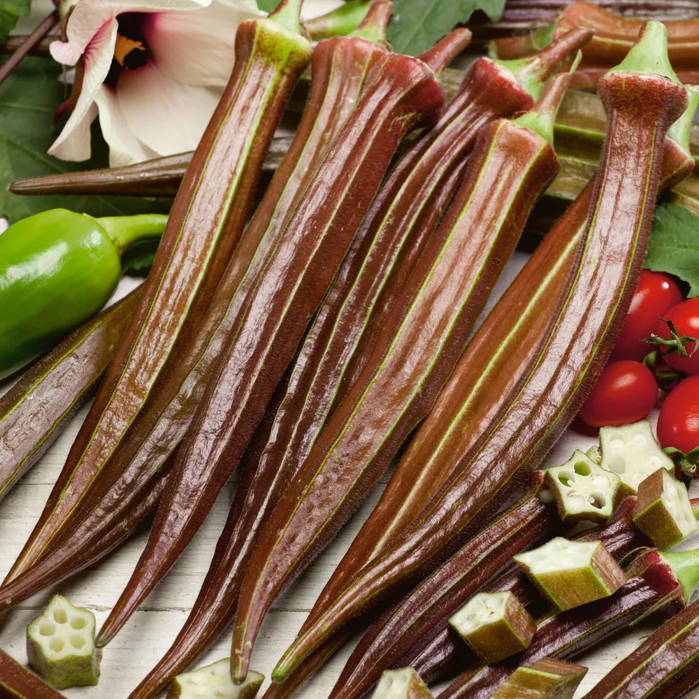 VEGSOW Red Burgundy Okra Seeds - Organic Heirloom Vegetable Seeds