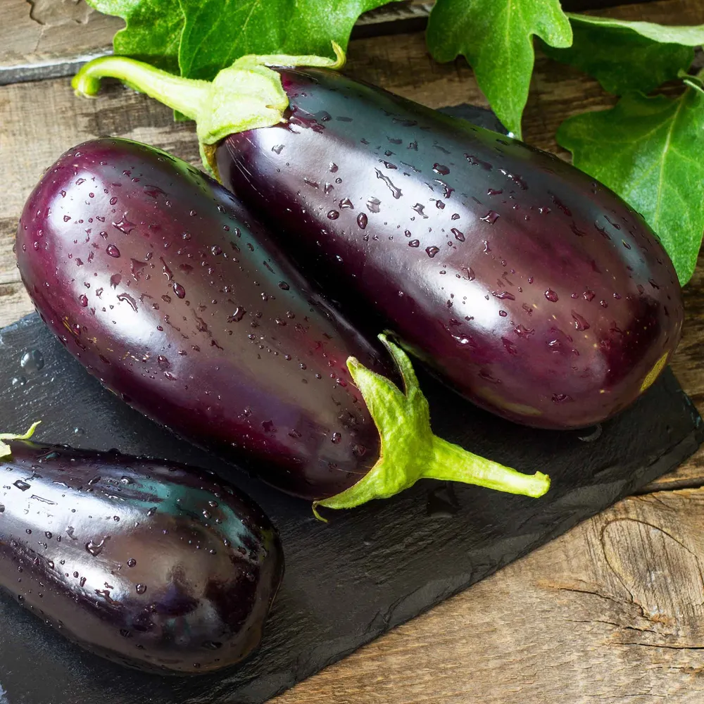 VEGSOW Black Beauty Eggplant Seeds - Organic Heirloom Vegetable Seeds