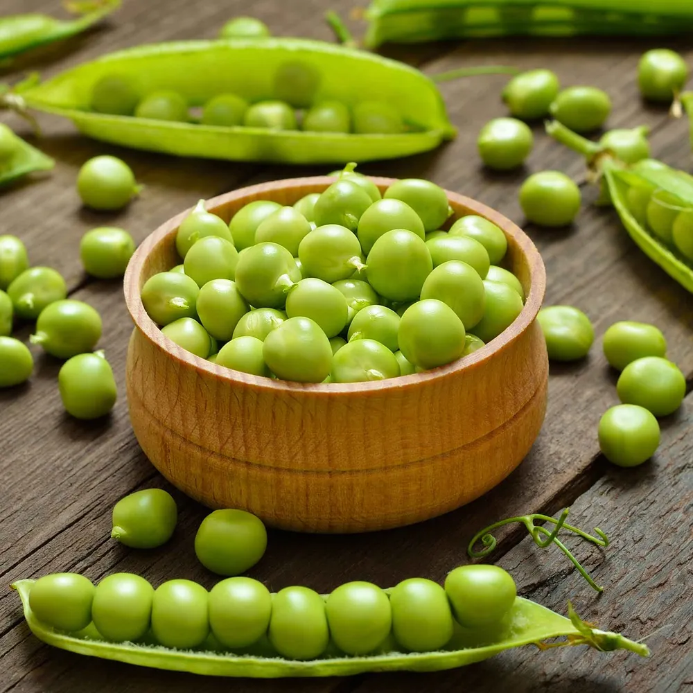 VEGSOW Thomas Laxton Pea Seeds - Heirloom Vegetable Garden Planting Seeds