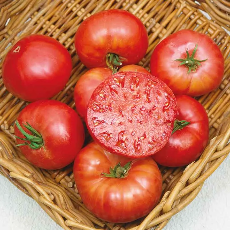 VEGSOW Mortgage Lifter Heirloom Tomato Seeds - Large Beefsteak Variety